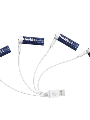 Akum. XTAR 14500 AA Li-Ion 1.5V 3000mAh su USB-C plastikinėje dėžutėje