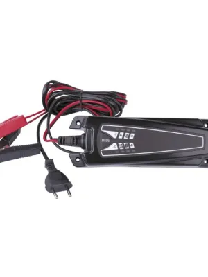 SLA ir automobilio akum. įkroviklis (automatinis)